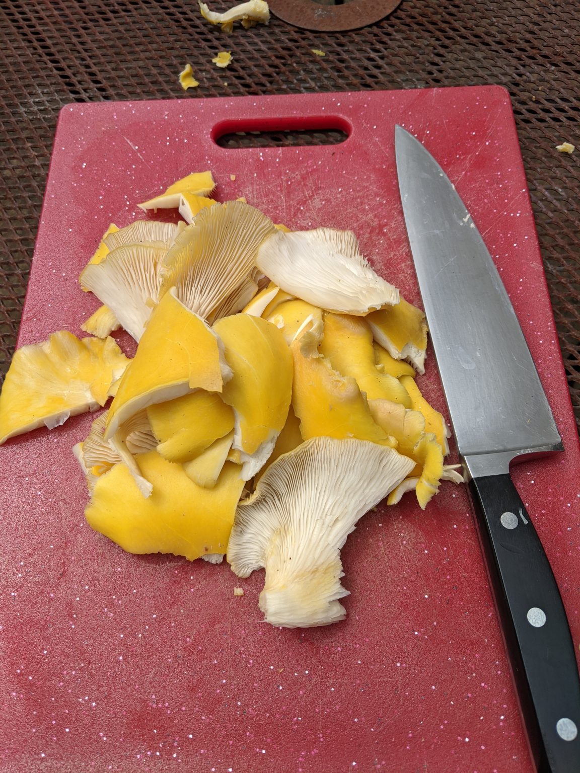 Golden Oyster Mushrooms