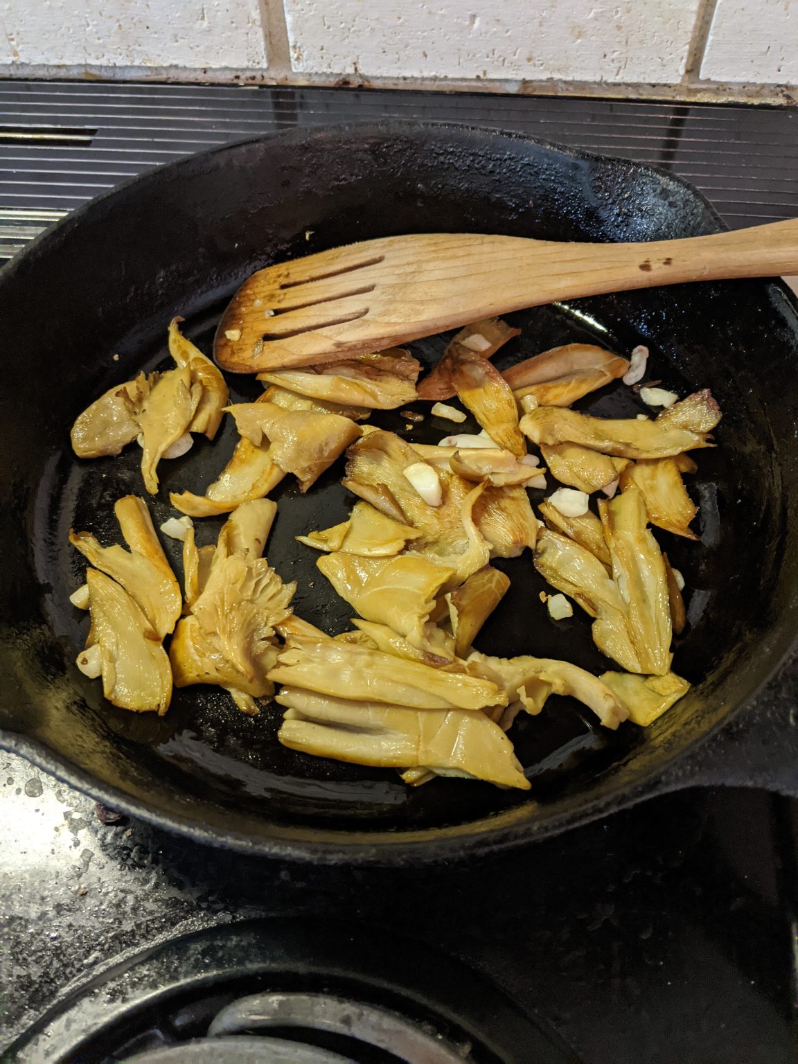 Golden Oyster Mushrooms